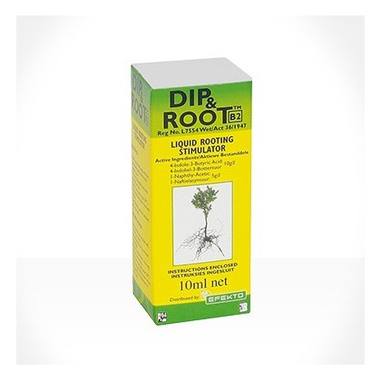Dip & Root 10ml