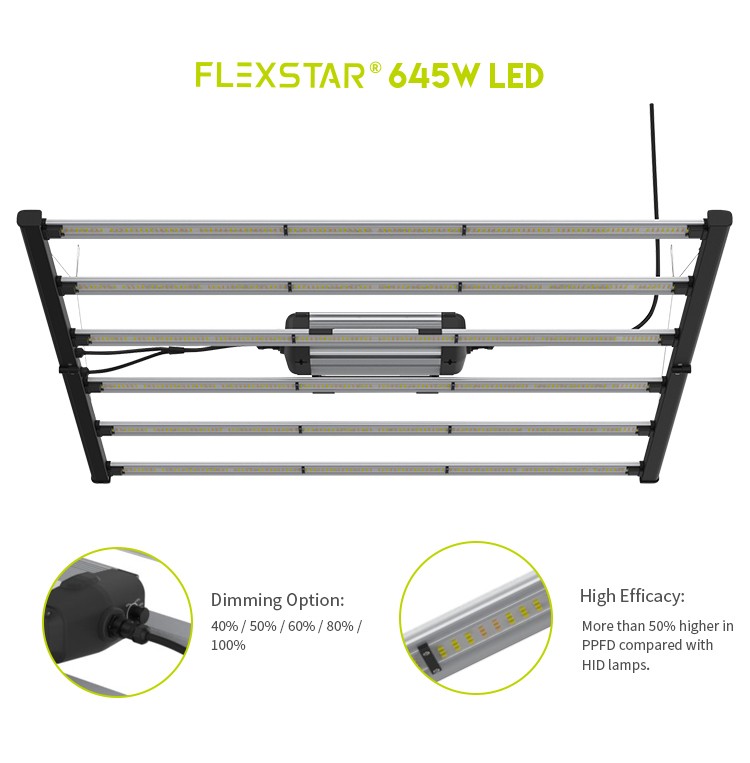 sinowell flexstar led