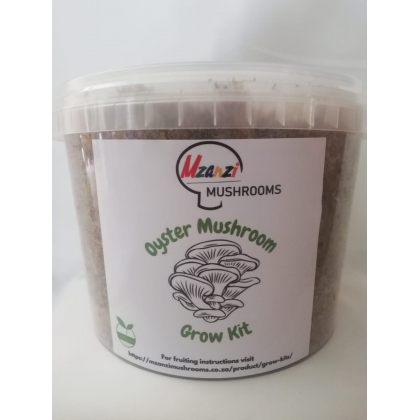 Oyster Mushroom Grow kit