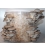 Oyster Mushroom Grow kit