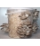 Oyster Mushroom Grow kit