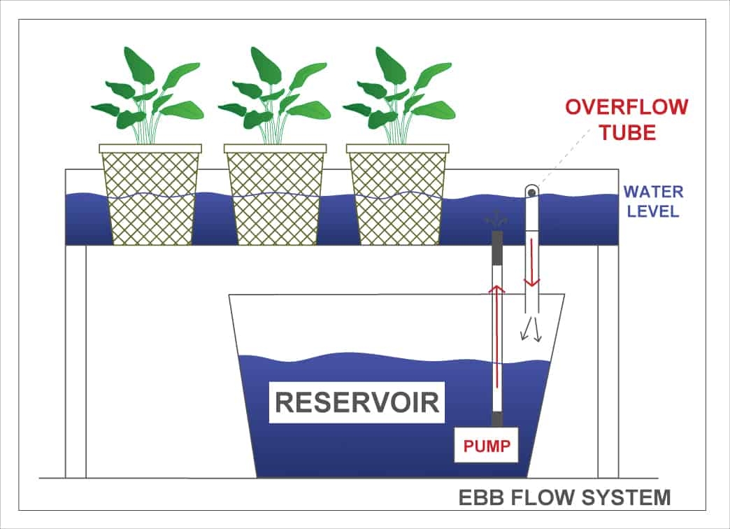 Ebb & Flow System (120cm x 180cm) | Products | Greenthumb Hydroponi...