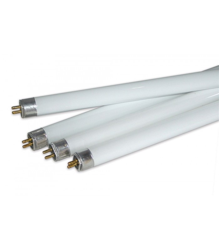 t5 t8 bulbs