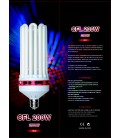 CFL 200w 2700k (Warm White)