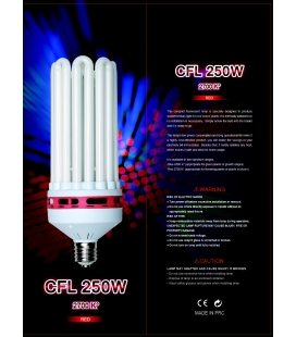 CFL 250W 2700k Warm white